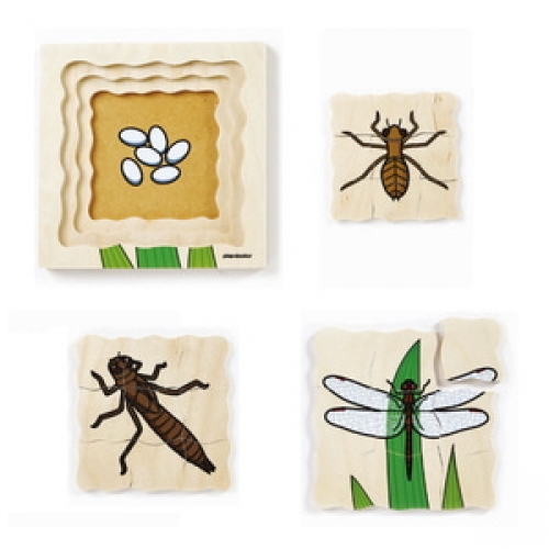 성장겹퍼즐-잠자리