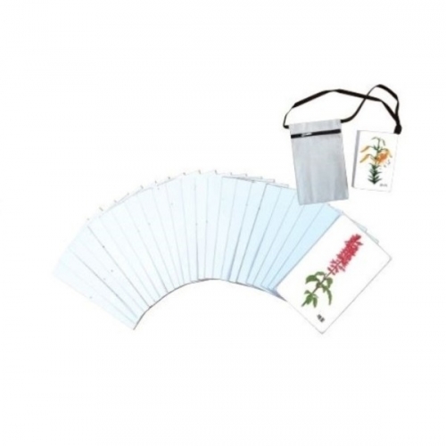 자연그림카드꽃