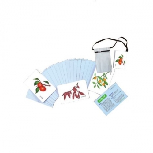 자연그림카드나무