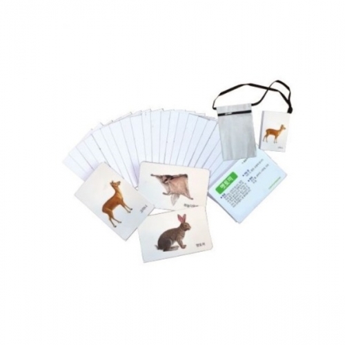 자연그림카드숲속동물