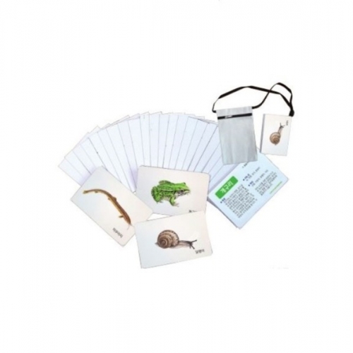 자연그림카드냇가동물