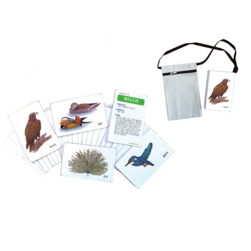 자연그림카드새