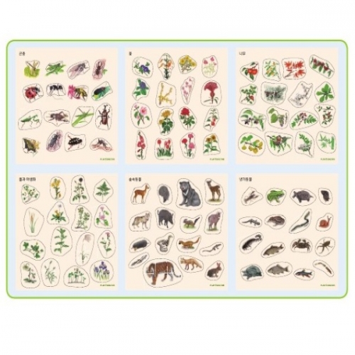 자연언어퍼즐-곤충