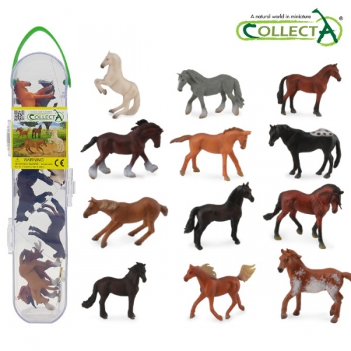 컬렉타교육세트미니말12종