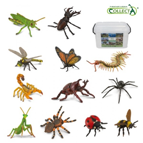 컬렉타교육세트곤충거미지네12종