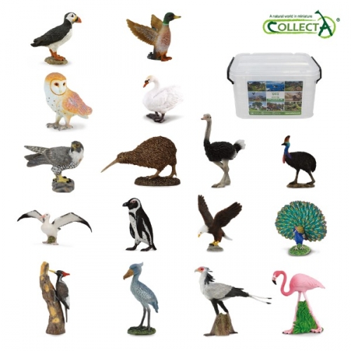 컬렉타교육세트조류16종