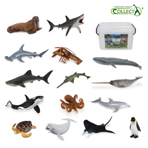 컬렉타교육세트해양15종