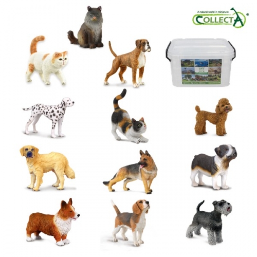 컬렉타교육세트강아지고양이12종