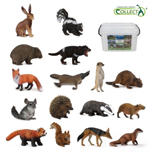 컬렉타교육세트야생확장16종