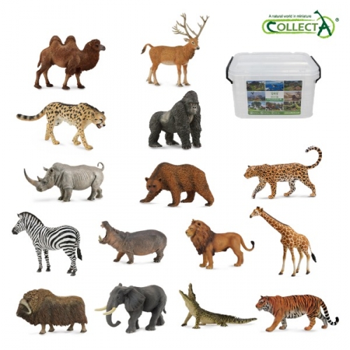 컬렉타교육세트야생15종