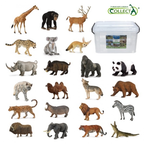 컬렉타교육세트야생22종