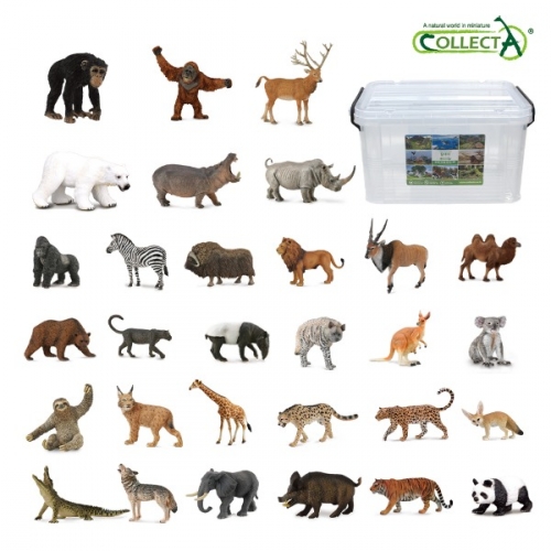 컬렉타교육세트야생30종