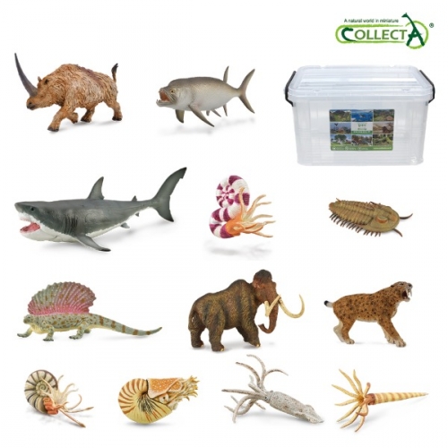 컬렉타교육세트고대동생물12종
