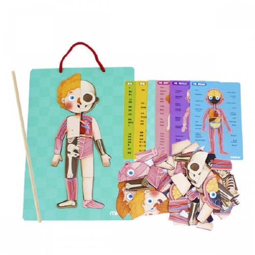 튼튼 인체 자석퍼즐