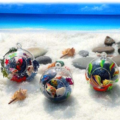 해초가있는 바다풍경만들기(조개껍질)