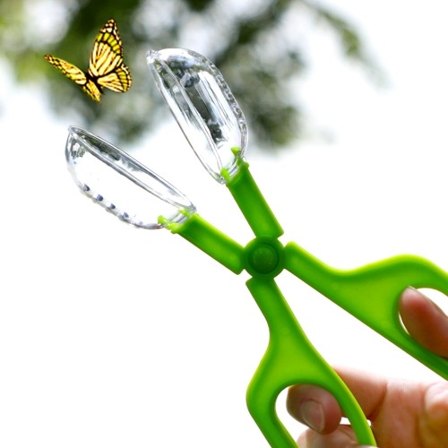 곤충집게가위 대형(18cm)/곤충채집가위/kc인증