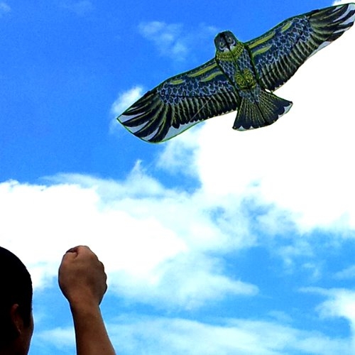 연날리기시리즈/독수리연 대형(140cm)