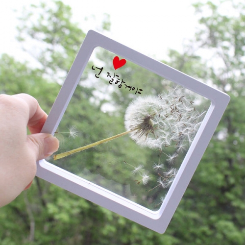 투명 액자_하바리움/압화/곤충