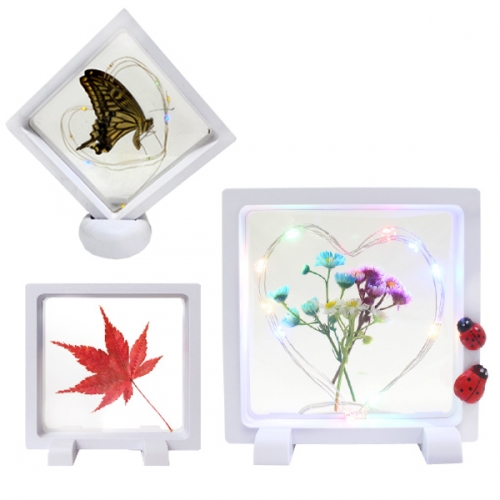 투명 액자_하바리움/압화/곤충