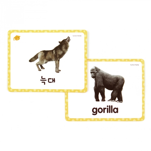 [보드게임]똑쟁 낱말카드 /한글영어학습 세이펜호환