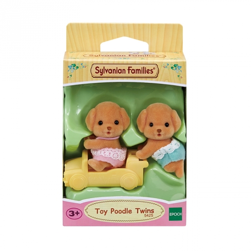 5425-토이푸들 쌍둥이