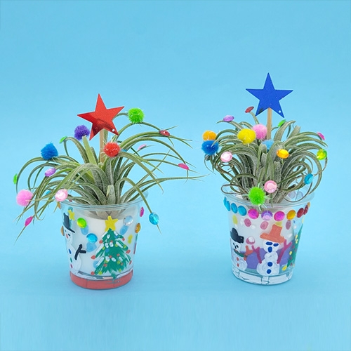 LED 반짝 크리스마스트리 ( 공기정화식물 / 반려식물 )