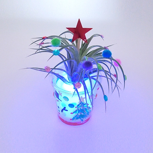 LED 반짝 크리스마스트리 ( 공기정화식물 / 반려식물 )