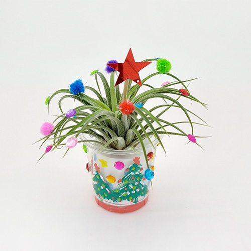 LED 반짝 크리스마스트리 ( 공기정화식물 / 반려식물 )