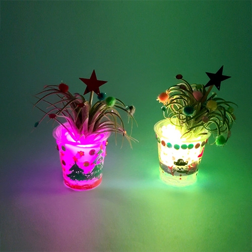 LED 반짝 크리스마스트리 ( 공기정화식물 / 반려식물 )