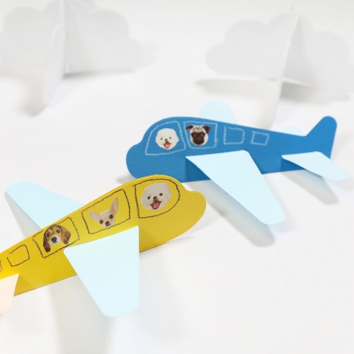 차이의 놀이 교통기관 셀로판지 썬캐쳐(자동차+비행기)