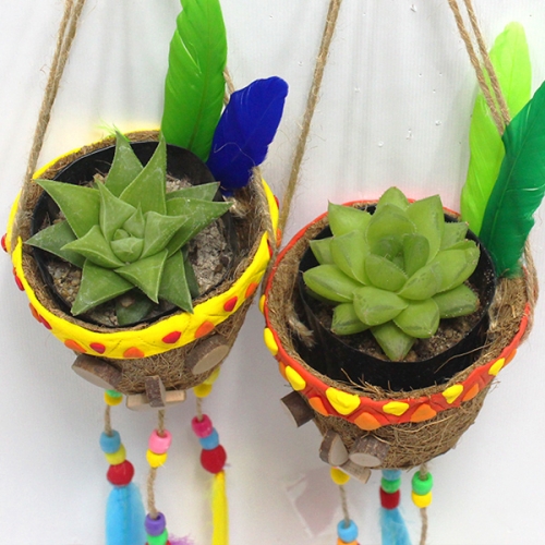 인디언 코코넛 화분_다육이