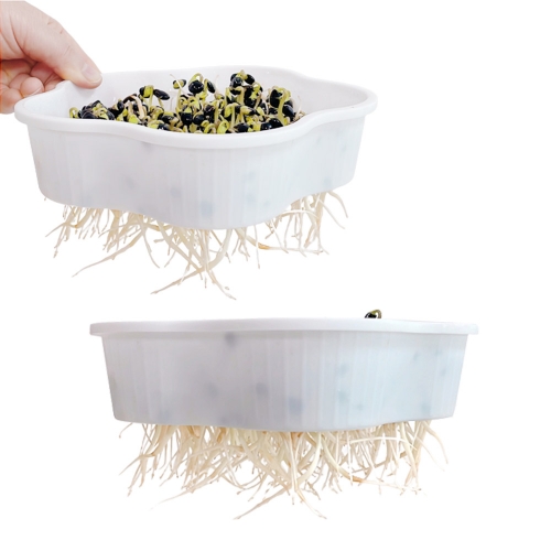 초간단 콩나물 키우기 키트(관찰일지포함)