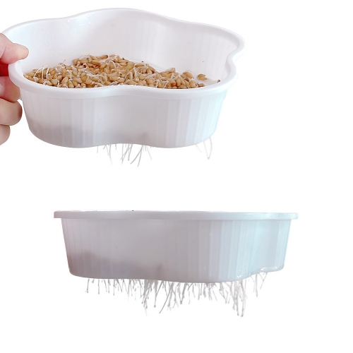 새싹보리 재배기 키트(부직포 가방 증정!)