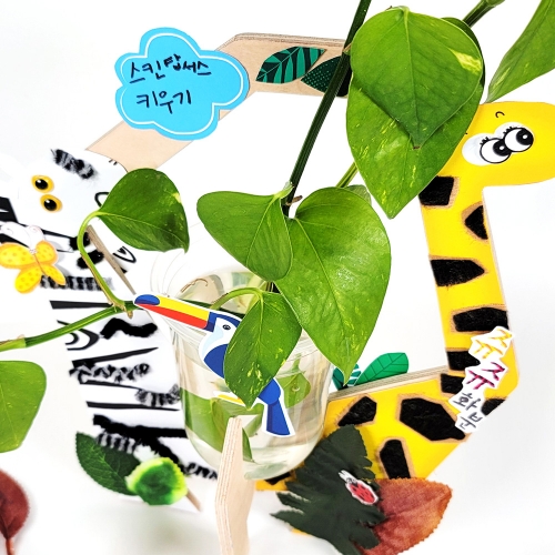 [만꾸] 쥬쥬 화분