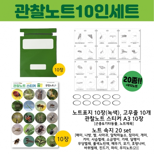 [키루] 나무야 곤충아!(자연탐구놀이)