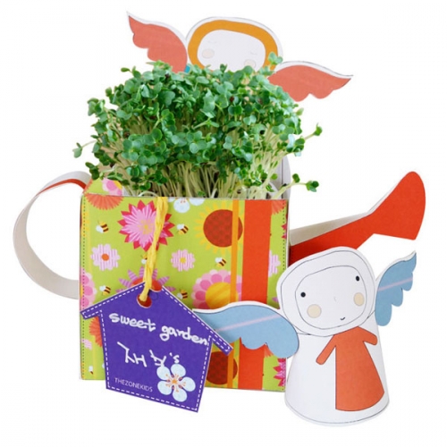 비타민채 키우기 키트 새싹 재배기 어린이 재배 체험 관찰학습(5인용)