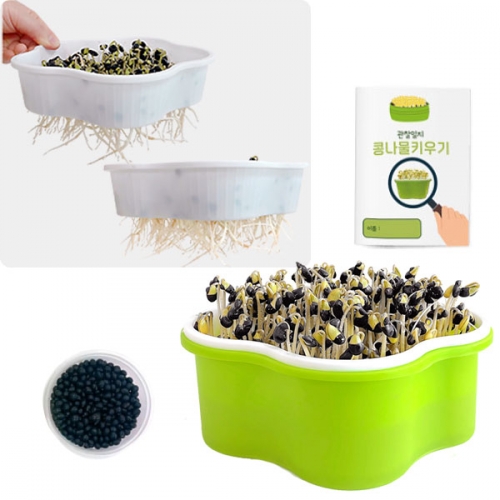 콩나물 키우기 기르기 키트_관찰일지 포함