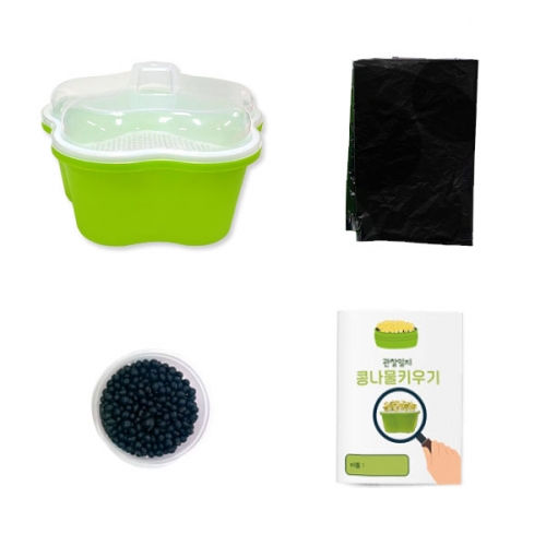 콩나물 키우기 기르기 키트_관찰일지 포함