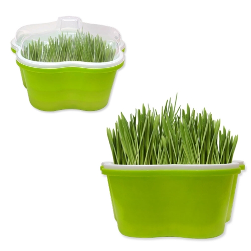 새싹보리 수경재배기 키트_가방포함