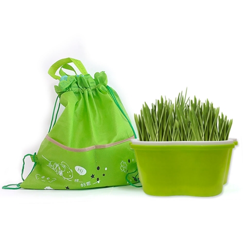 새싹보리 수경재배기 키트_가방포함