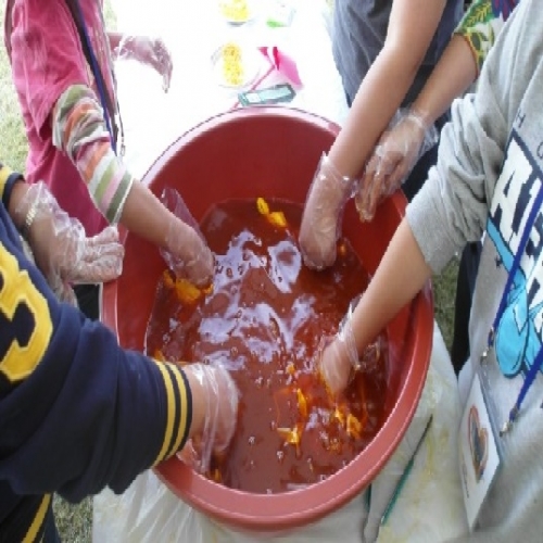 손수건 천연염색 체험교실