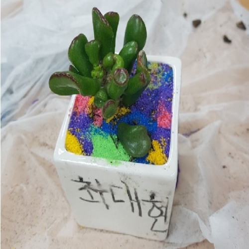 메세지 도자기 화분 만들기 체험교실