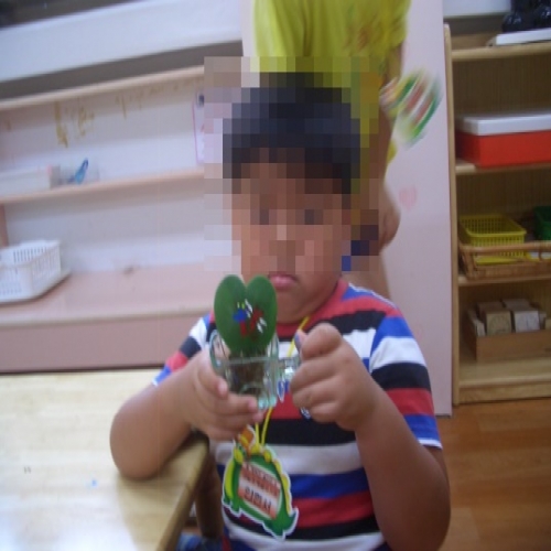 하트 호야 화분 만들기 체험교실