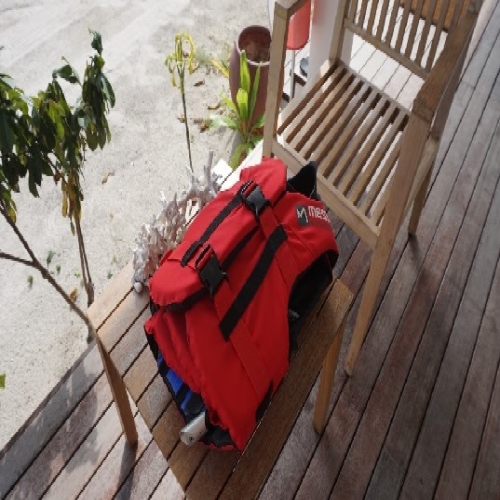 수상 안전교육 체험교실