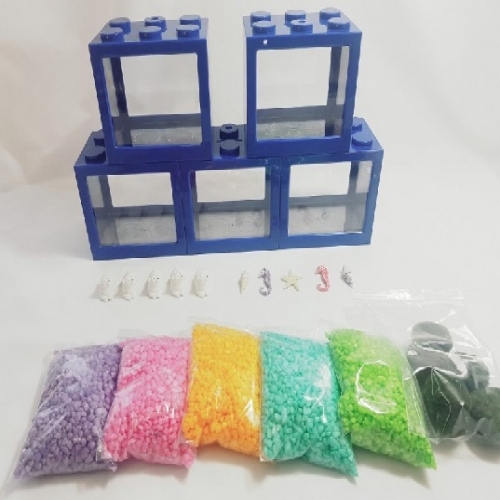 마리모 키우기 체험교실