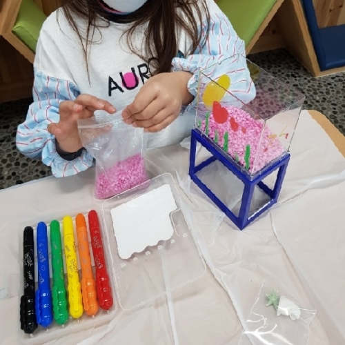 마리모 키우기 체험교실