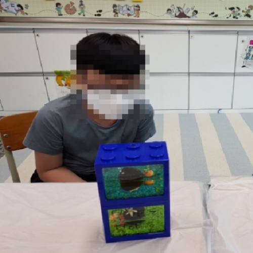 마리모 키우기 체험교실