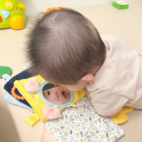 [캐스B]플레이 촉감헝겊책너구리(2403)