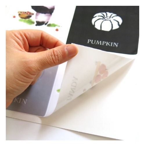 (스티커몰)그래픽타일(4매) 작은곰 CSGT-28