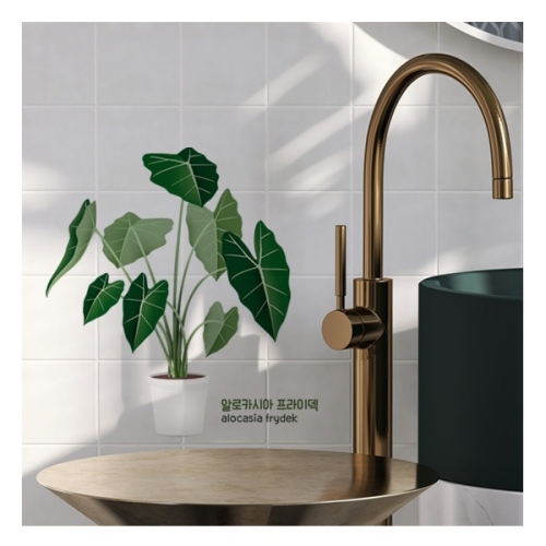 (스티커몰)데코스티커 알로카시아 GDT-8103